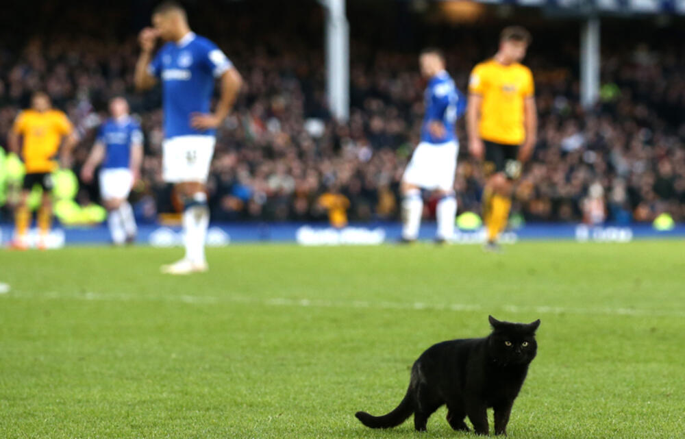 黒猫が勝利をお届け ウルブス監督 生まれのポルトガルだと 超ワールドサッカー