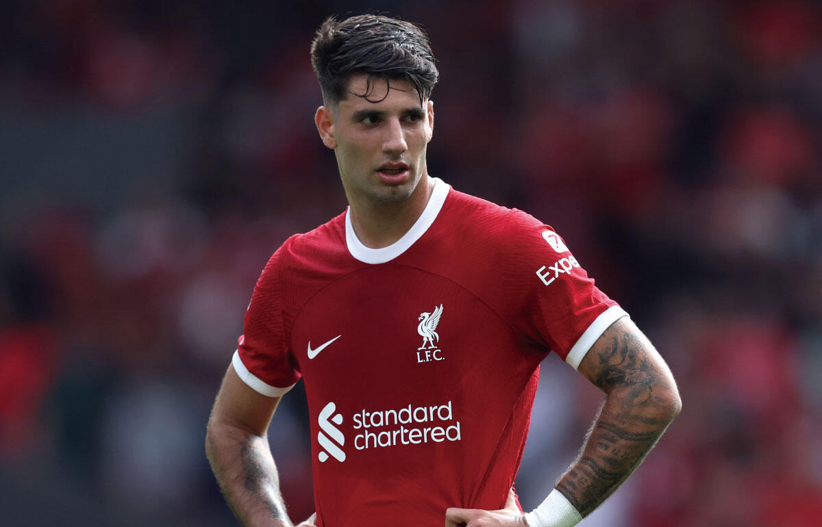 全員が素晴らしいリアクション」 ソボスライが本拠地デビューを回想