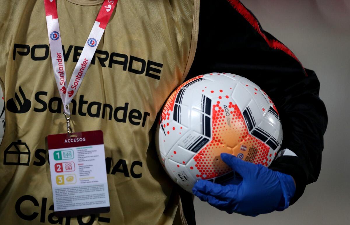 写真はイメージです