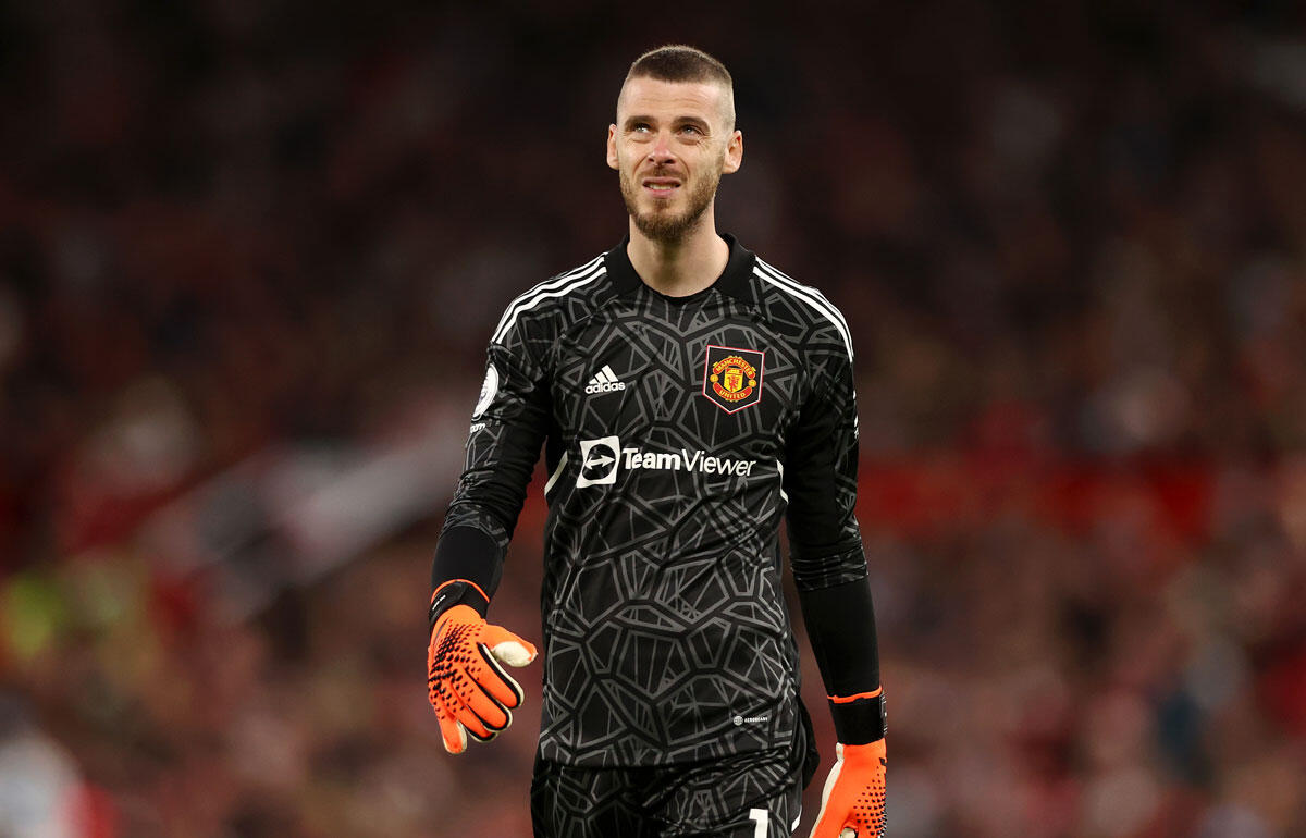 今夏マンチェスター・ユナイテッドを退団しフリーのデ・ヘア