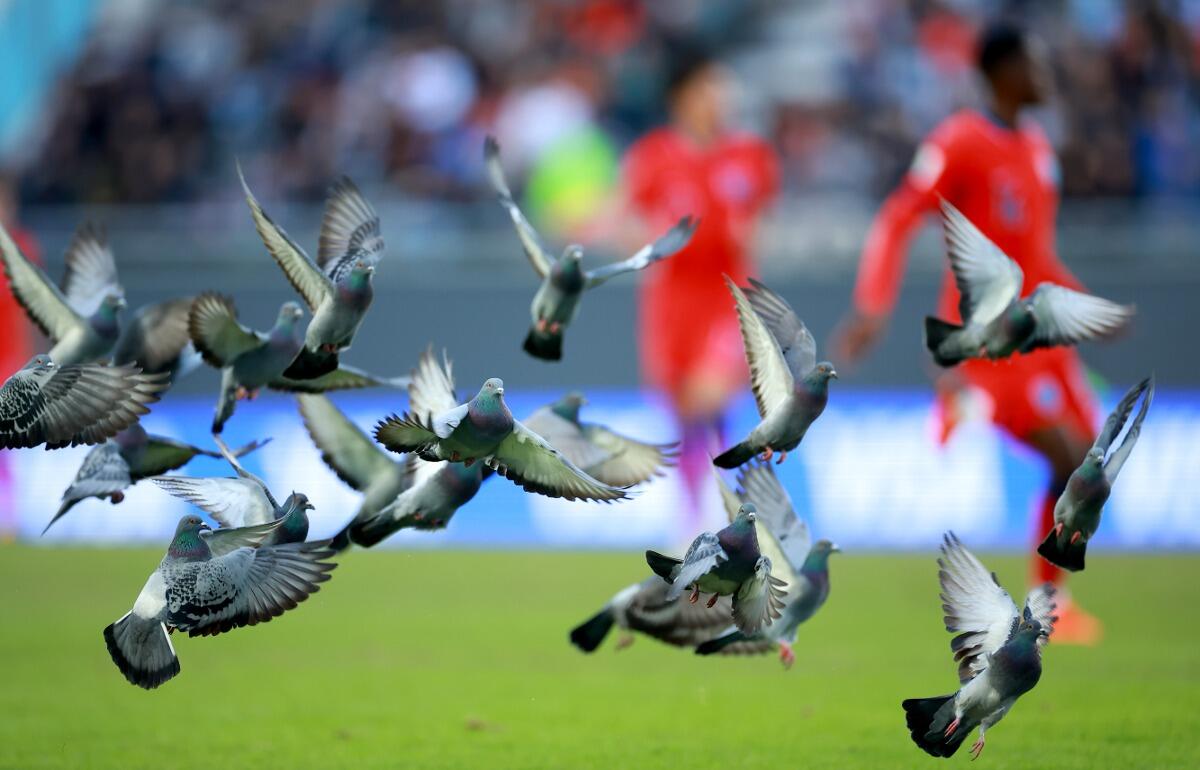 ※写真はイメージです