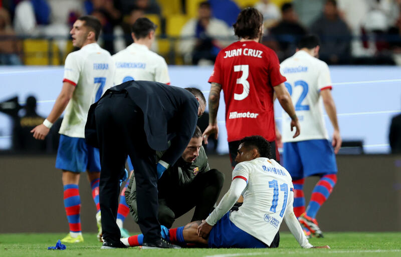 負傷したハフィーニャ