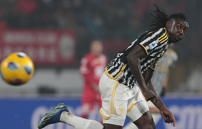 レンタル先候補が複数挙がっているケアン