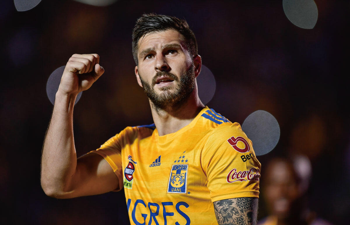 ティグレスの象徴・ジニャック