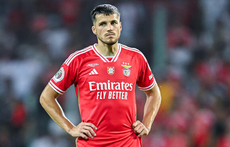 ホッフェンハイムに加入したDFダビド・ユラセク