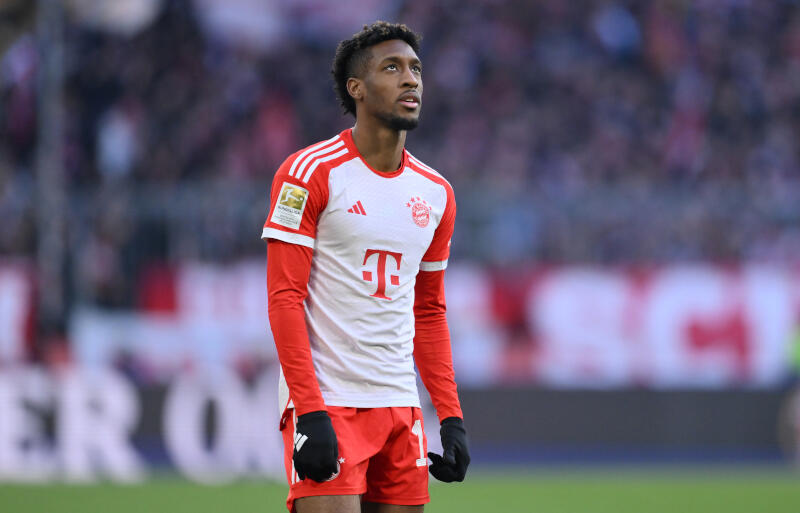 負傷したコマン