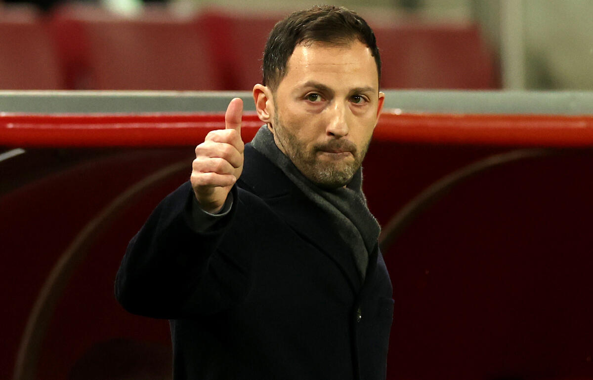 ベルギー代表を率いるテデスコ監督