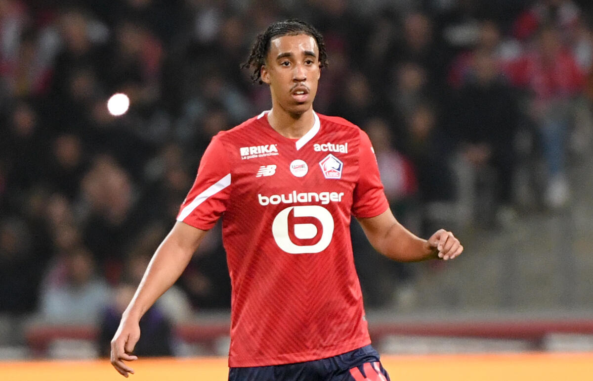 去就注目のヨロ