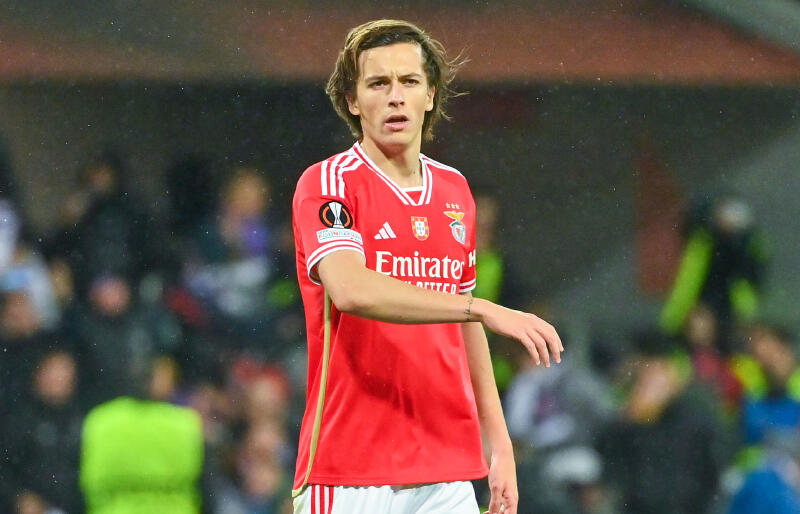 ベンフィカDFアルバロ・フェルナンデス。