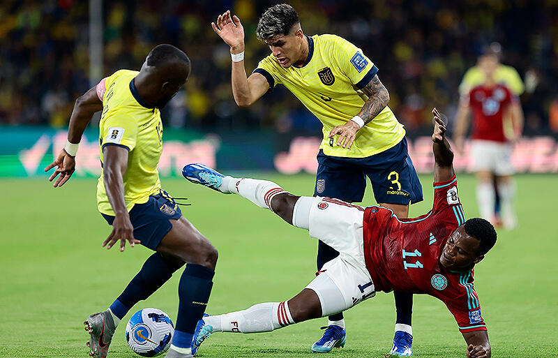 インカピエらが招集