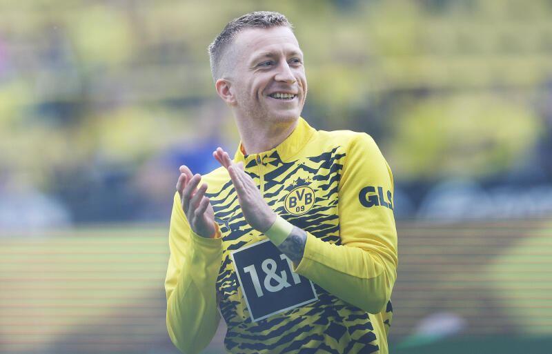 去就注目のロイス