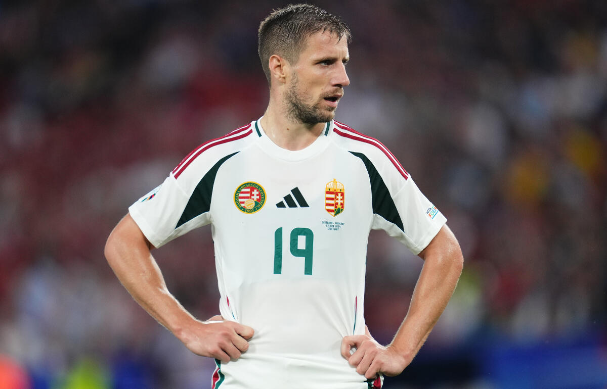 顔面を骨折したヴァルガ