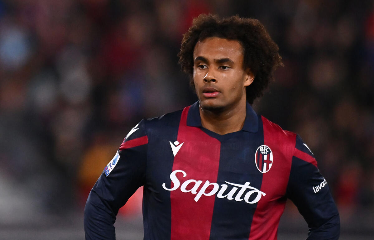 今夏の注目株であるザークツィー