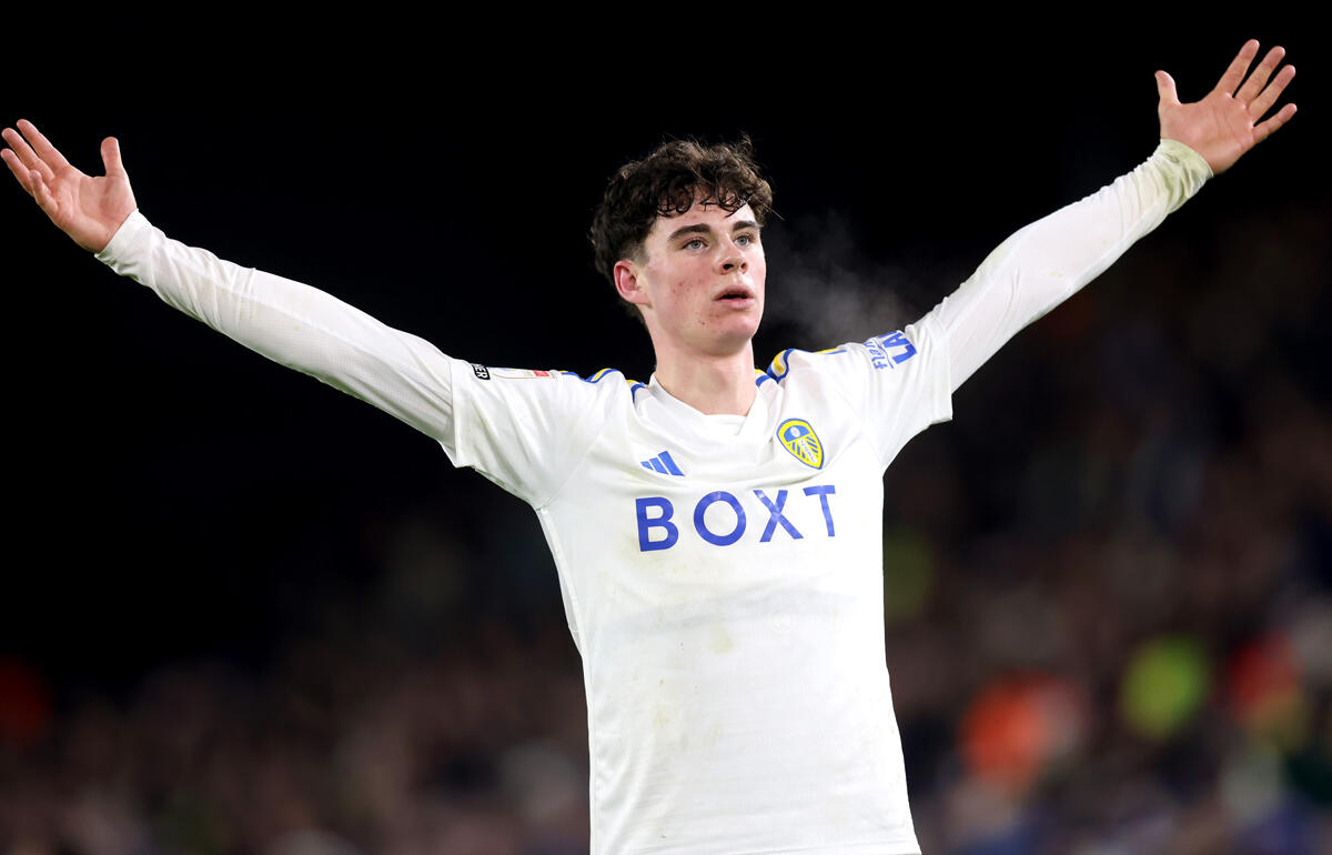 新たなイングランドの天才とも言われているグレイ