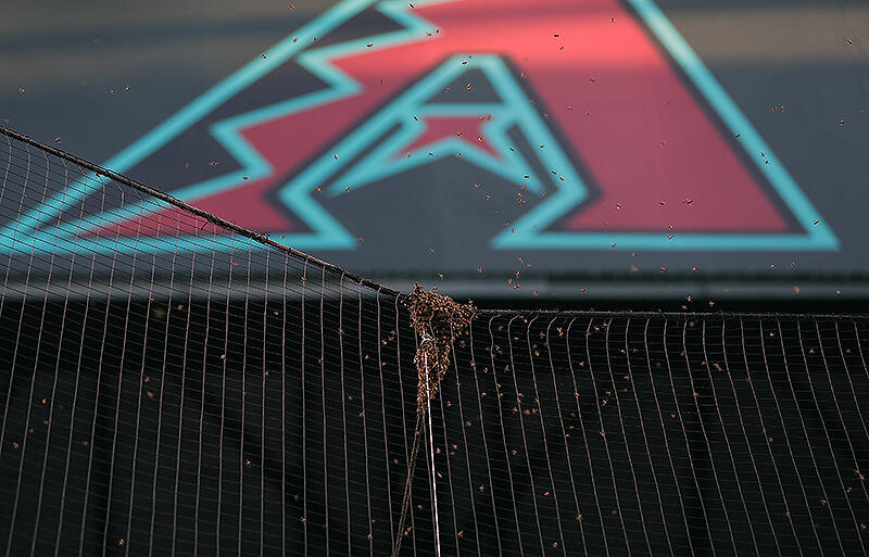 MLBのドジャースvsダイヤモンドバックスで発生した蜜蜂の群れ