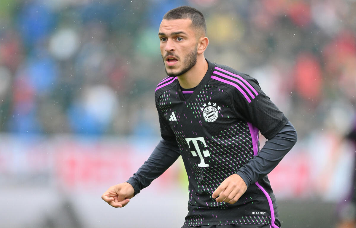 2023-24シーズンはフロジノーネでプレーしたイブラヒモビッチ