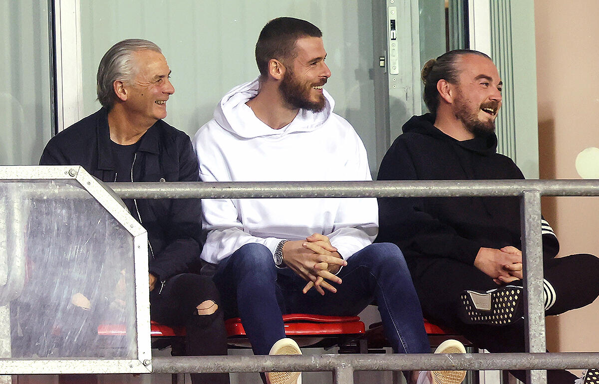 丸1年フリーのデ・ヘア