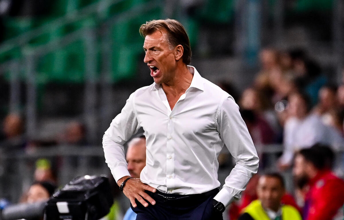 アフリカで実績あるルナール監督