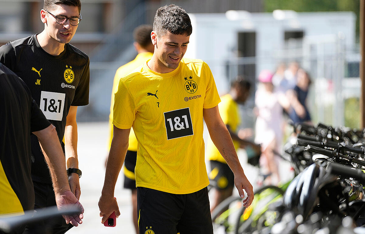 負傷離脱のレイナ