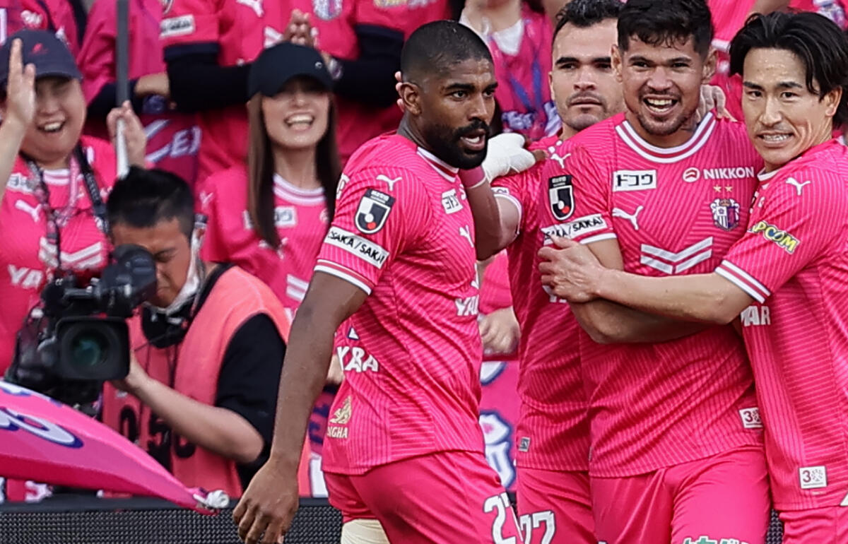 清水入りが決定したカピシャーバ