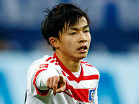 【希少】ドイツブンデスリーガ　ハンブルガーSV 02/03シーズン　高原直泰選手 高原直泰 プロフィル－海外サッカー : nikkansports.com
